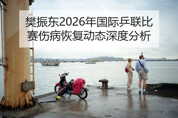 樊振东2026年国际乒联比赛伤病恢复动态深度分析