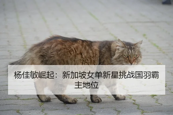 杨佳敏崛起：新加坡女单新星挑战国羽霸主地位